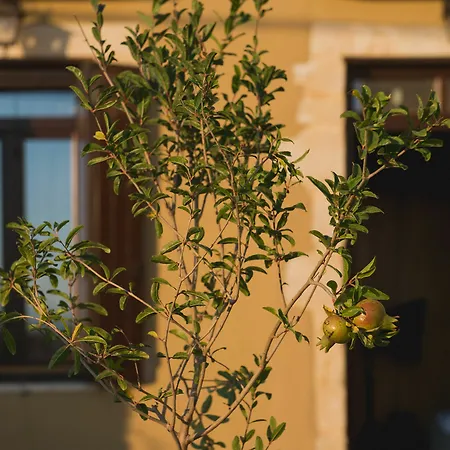 Апарт-отель Lameriana Luxury Village Achlades